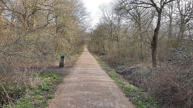 Howe Park Wood