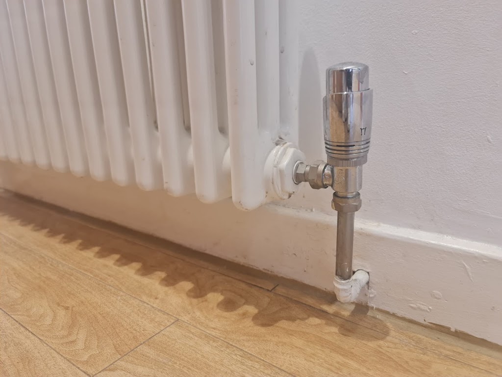 Avi Plumber Photo