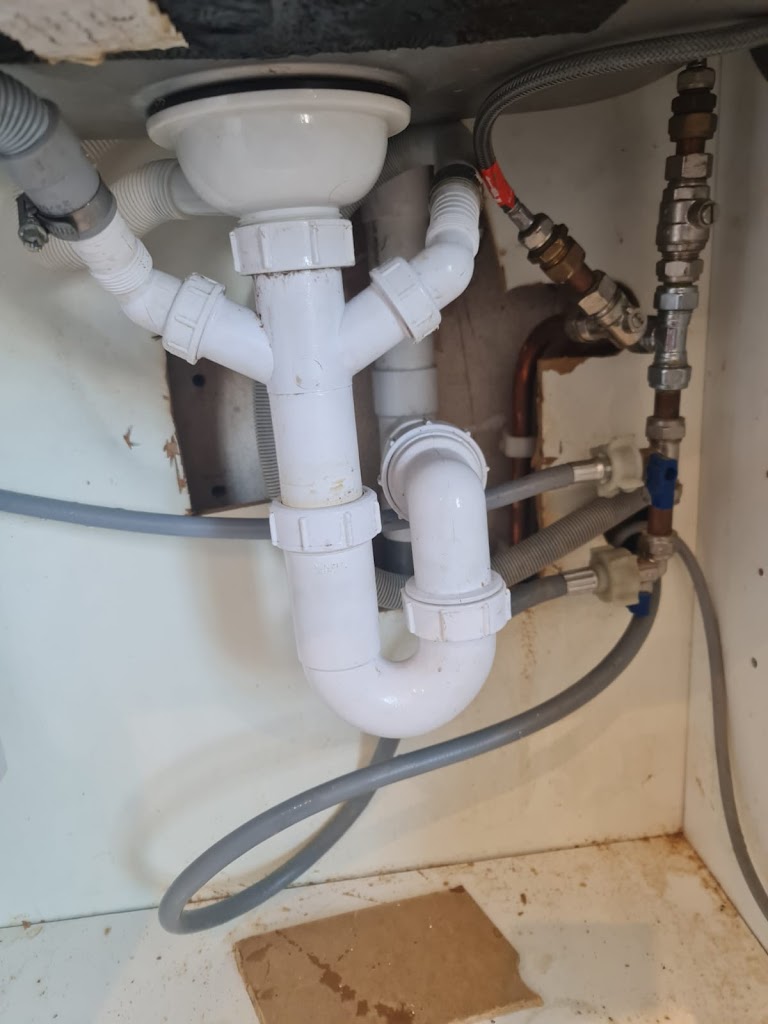 Avi Plumber Photo