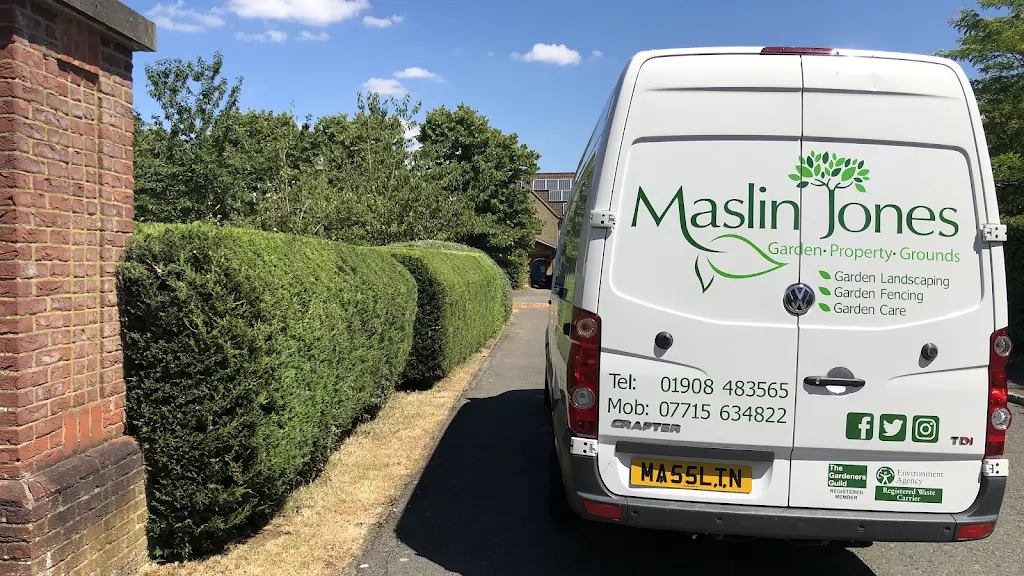 Maslinjones Ltd Photo