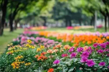 Andrew’s Landscape Design