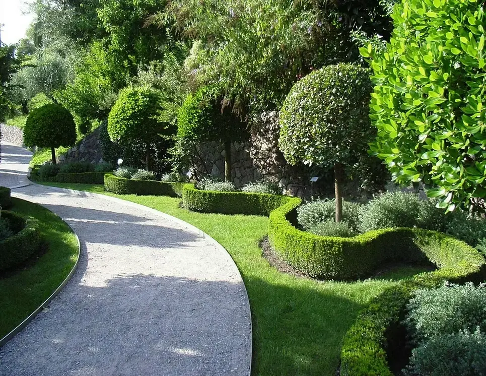 Saunders Gardening Services Photo