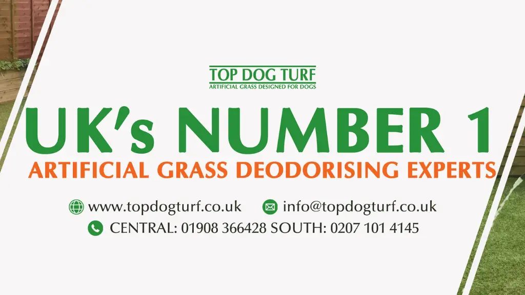 Top Dog Turf Photo