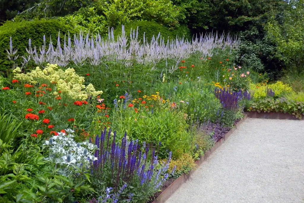 Green Genus Garden Design