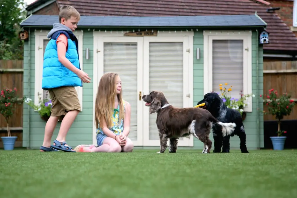 The Modern Lawn Company Photo