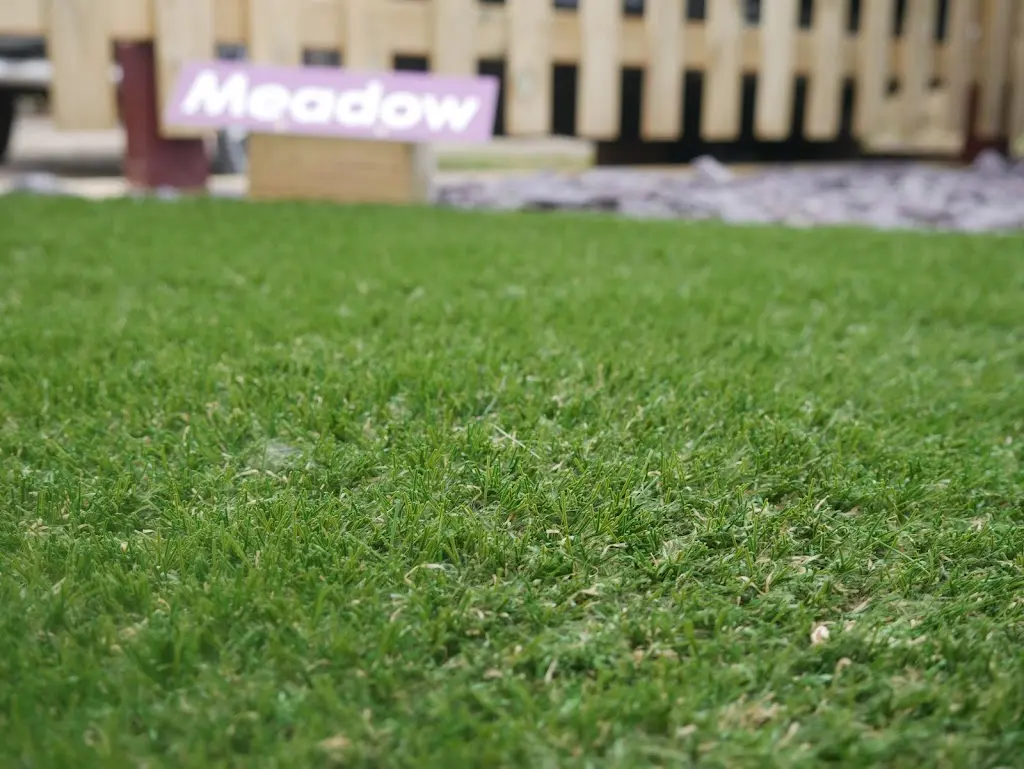 The Modern Lawn Company