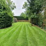 New City Landscapes Limited