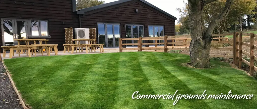 TW Garden Services MK | Milton Keynes Prestige Garden Care Photo