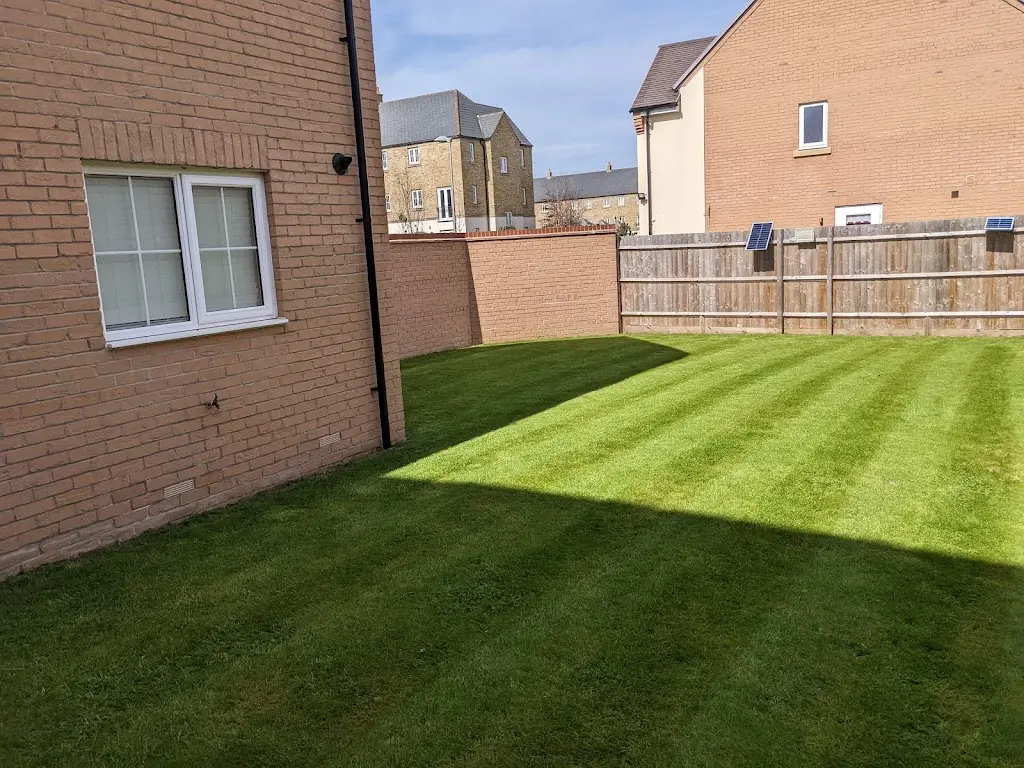 Kyle’s gardens Photo