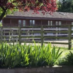 1LG Digital Web Design