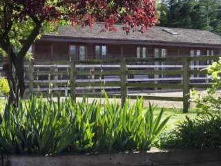 1LG Digital Web Design