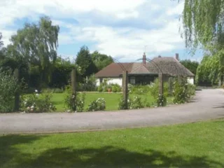 1LG Digital Web Design