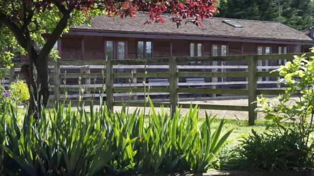 1LG Digital Web Design