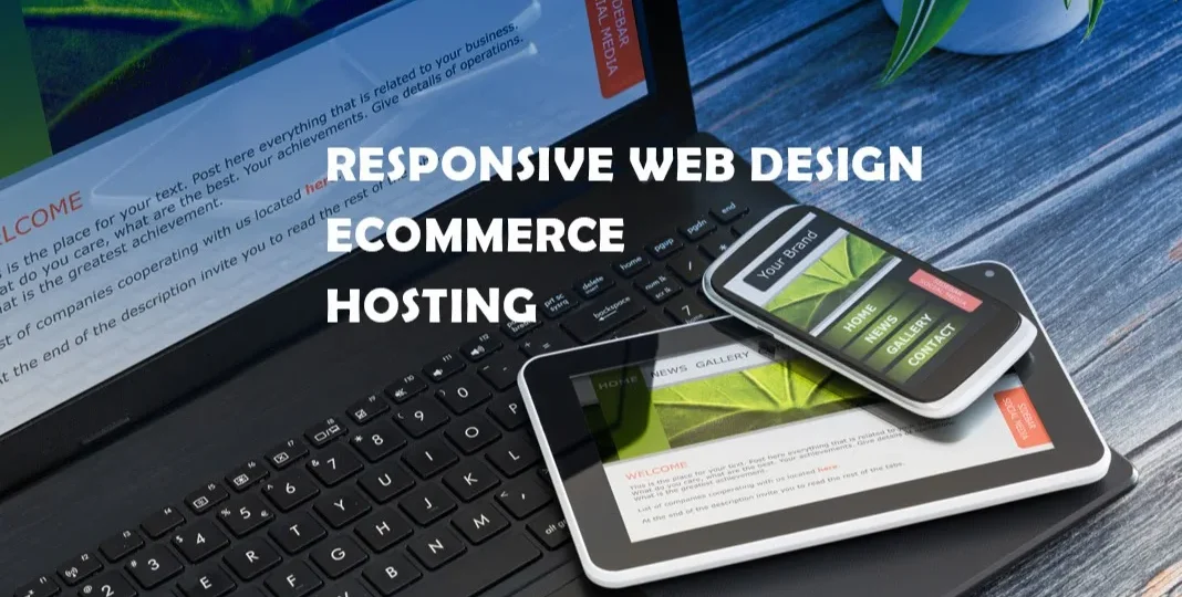 Armadillo New Media Ltd | Web Design & Web Development in Milton Keynes