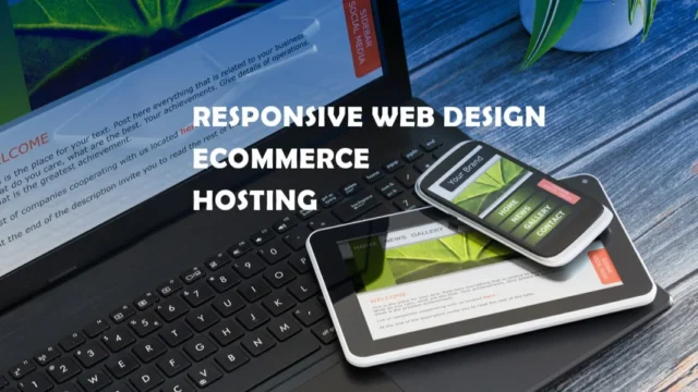 Armadillo New Media Ltd | Web Design & Web Development in Milton Keynes