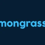 Lemongrass Media Limited Milton Keynes