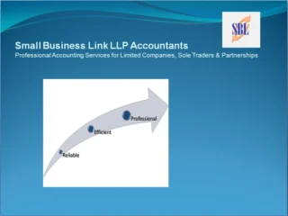 Small Business Link LLP