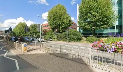 The Polka Digital Marketing