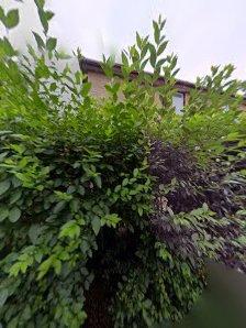 National Will Company