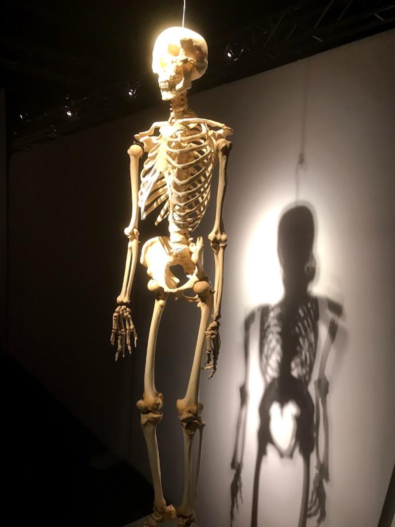 Richards Chiropractic Clinic