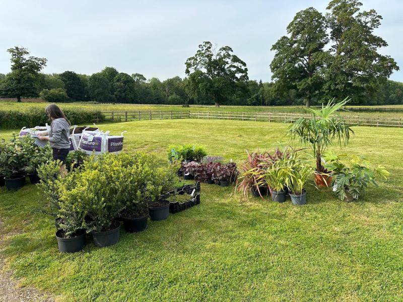 Eden Wholesale Plants