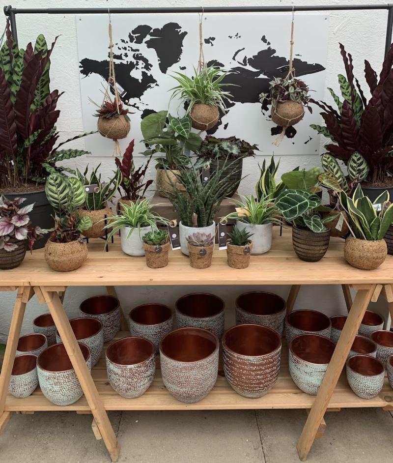 Alban Hill Nurseries