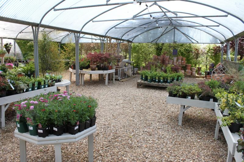 Twigs Nurseries