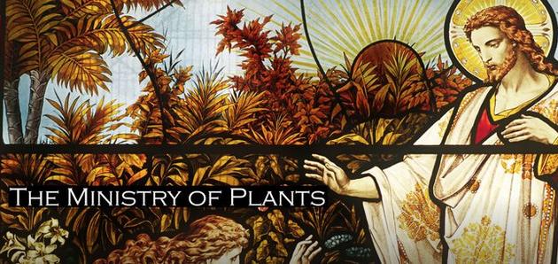 The Ministry of Plants