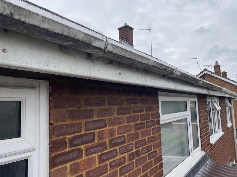 Lynx Window Cleaning Services