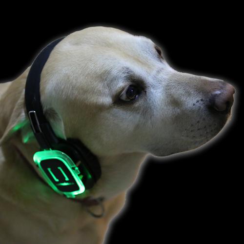 Event Headset Hire – Silent Disco Equipment