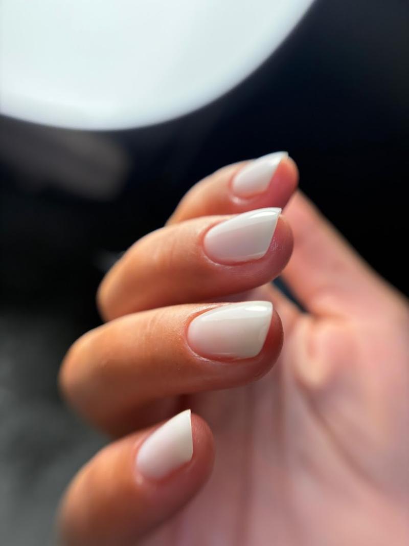 Dove Beauty House