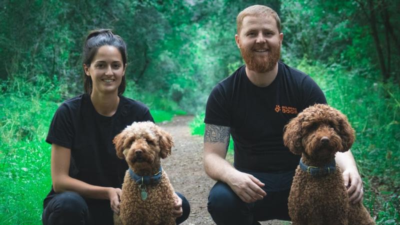 Delders Dogs Ltd