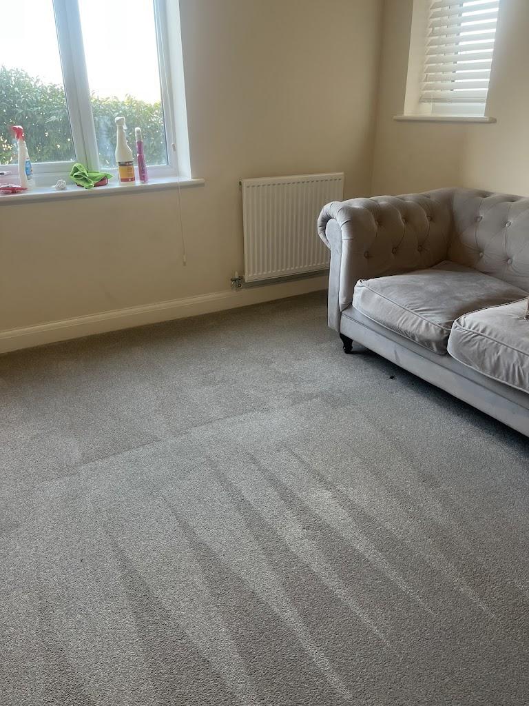 The Carpet Lab Z