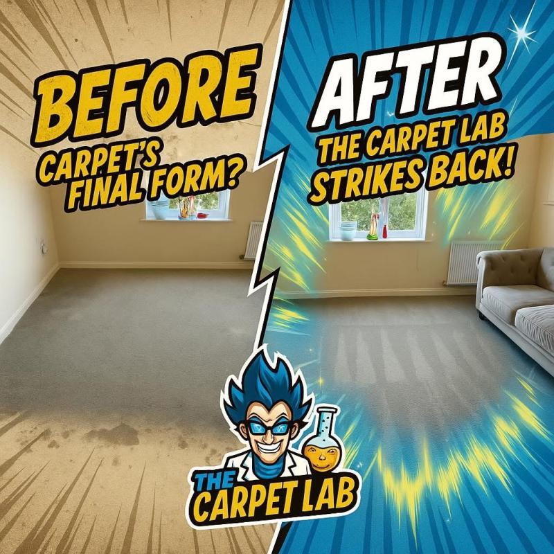 The Carpet Lab Z