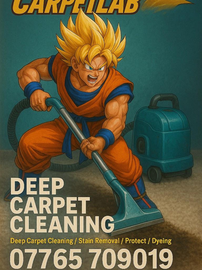 The Carpet Lab Z