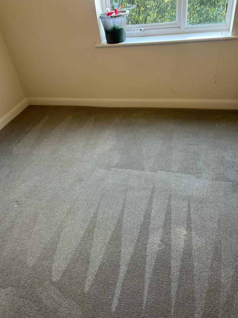 The Carpet Lab Z