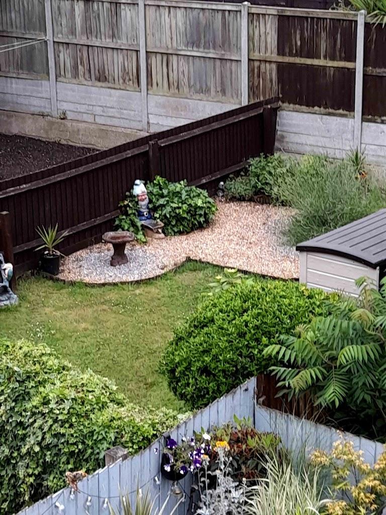 Magic Garden Services
