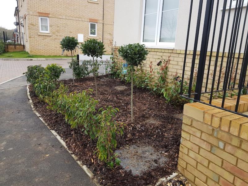 The MK Gardener