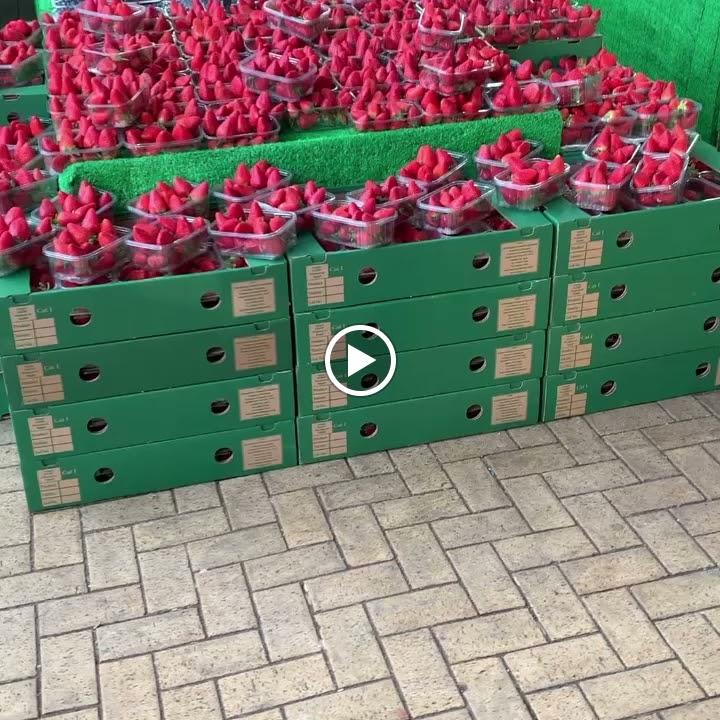 The Online Greengrocer