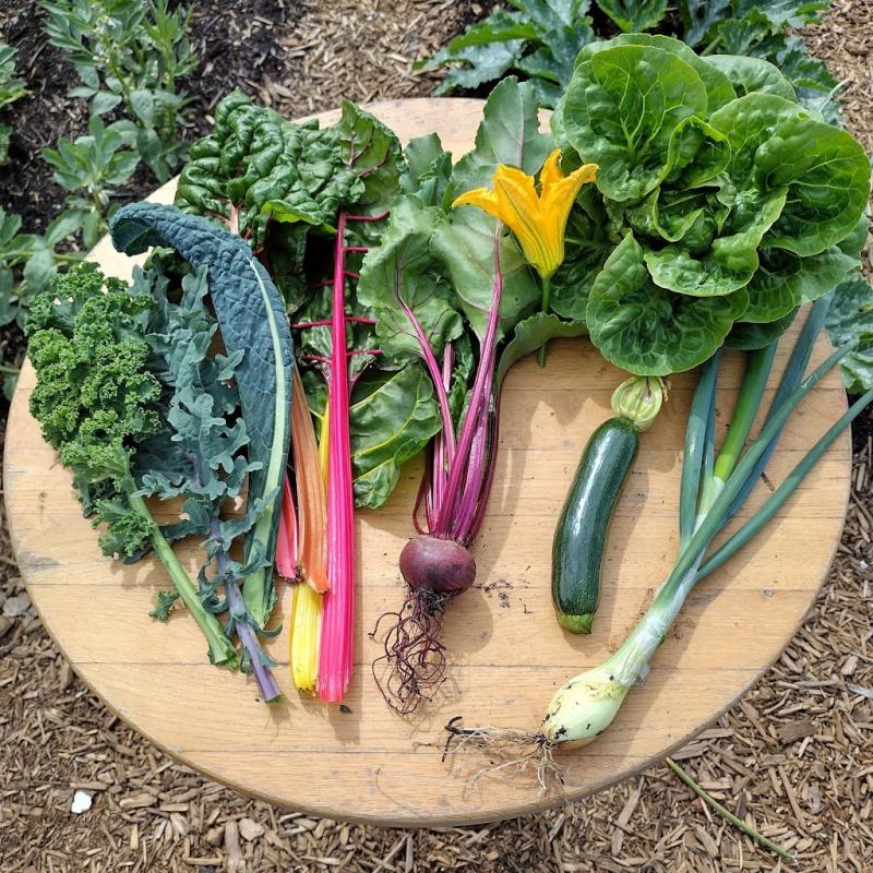 Liberté Market Garden