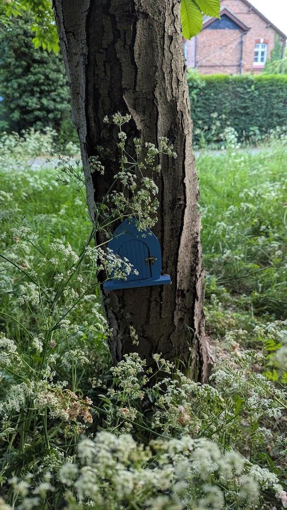 Freya’s Fairy Trail