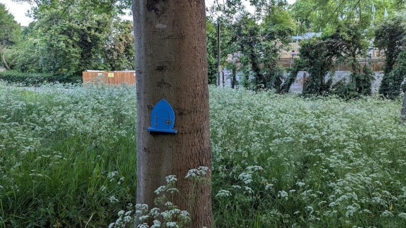 Freya’s Fairy Trail