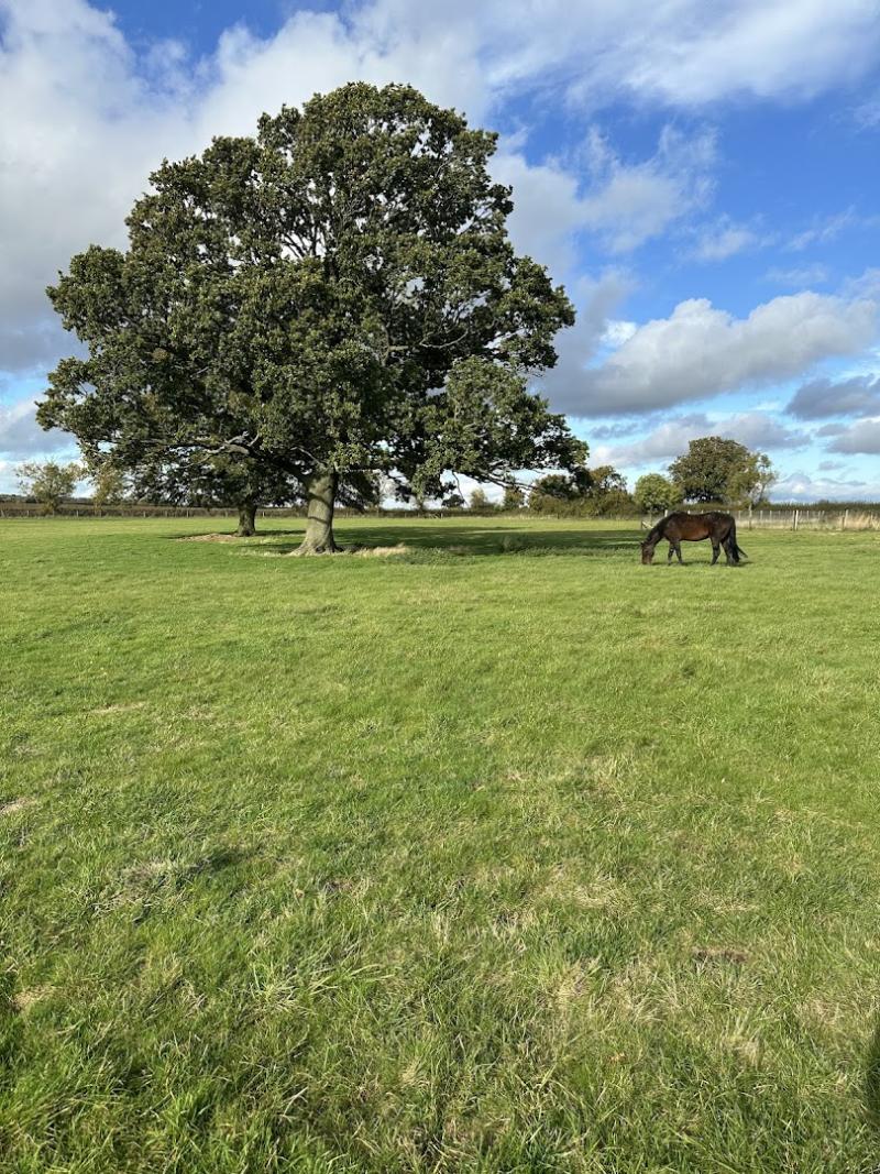 Folly Fields Farm