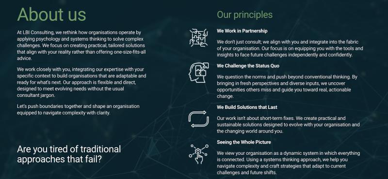 LBI Consulting