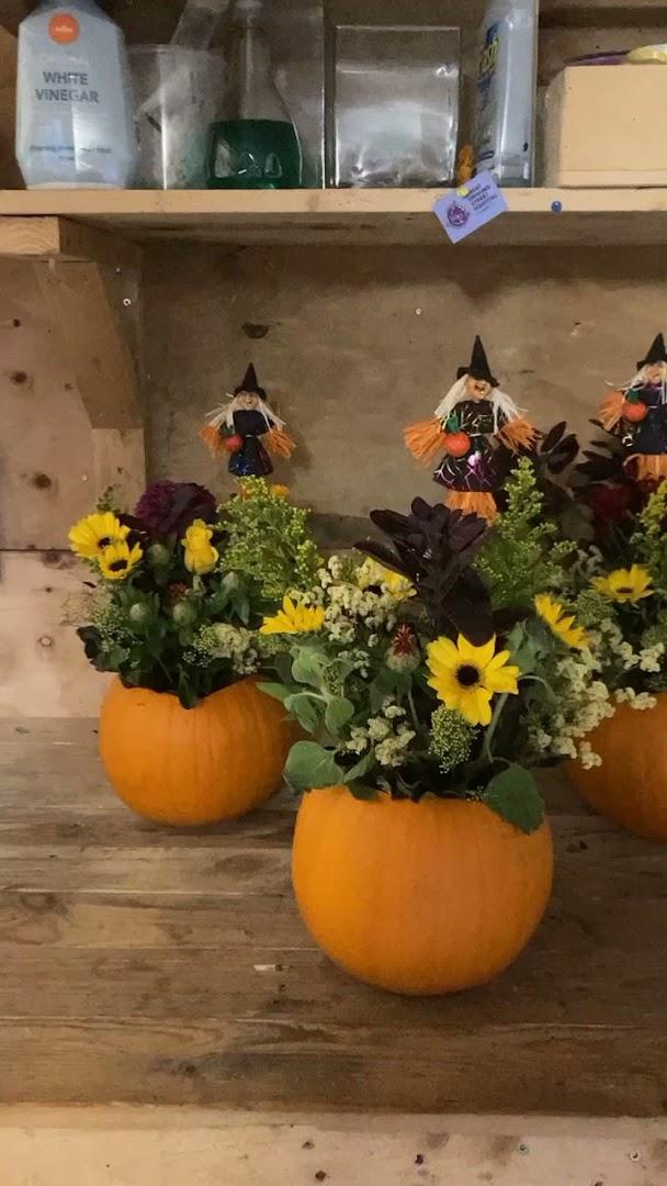 Jeanette’s Flower Displays