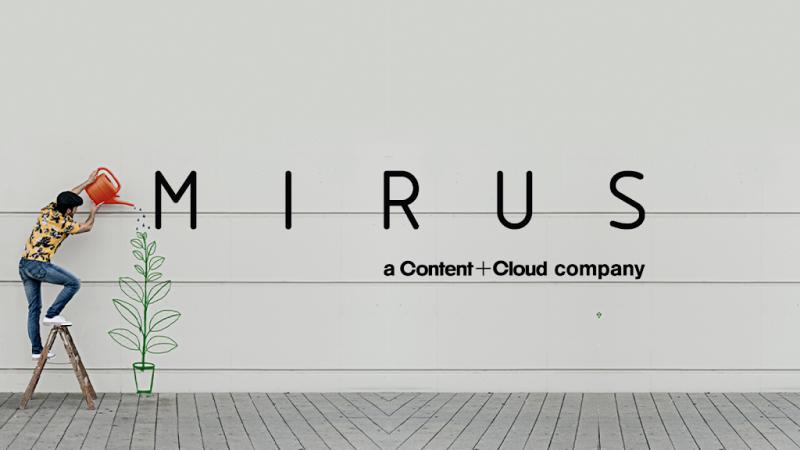 Mirus IT Solutions Limited