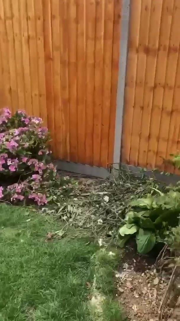 Milton Keynes Landscapes