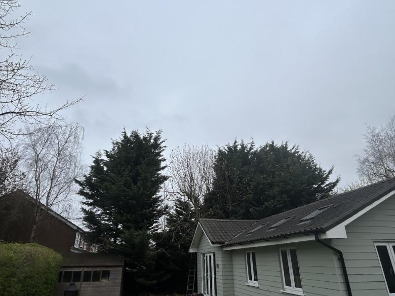 Eco Tree Services