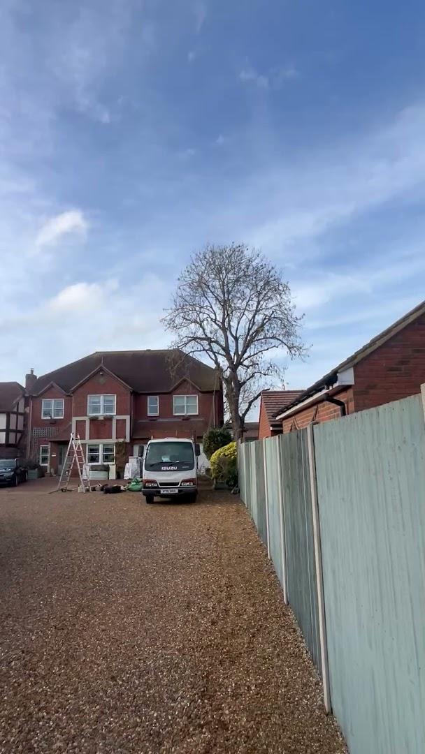 Eco Tree Services