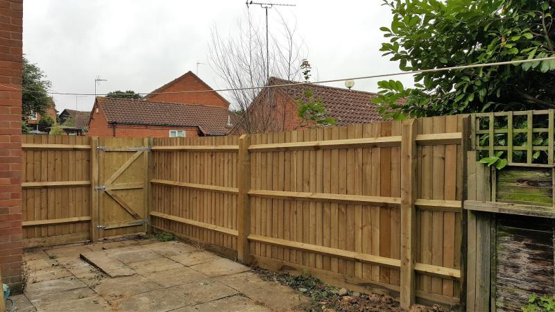 Broderick Tree Care – Tree Surgeon Milton Keynes